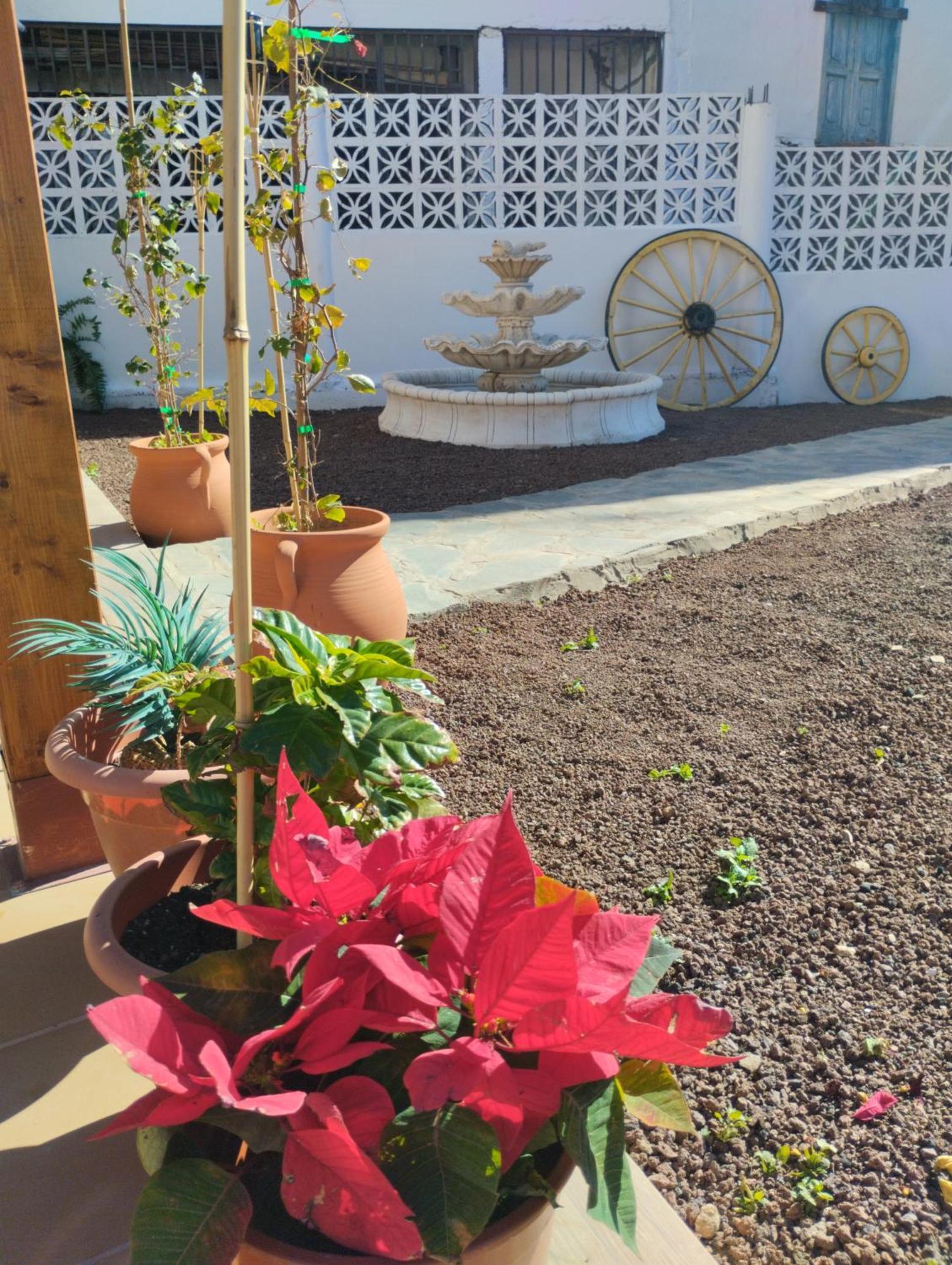 Casita Fataga Apartment Ngoại thất bức ảnh